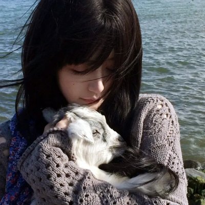 龟甲秘事之拨云见日